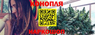 индика Комсомольск-на-Амуре