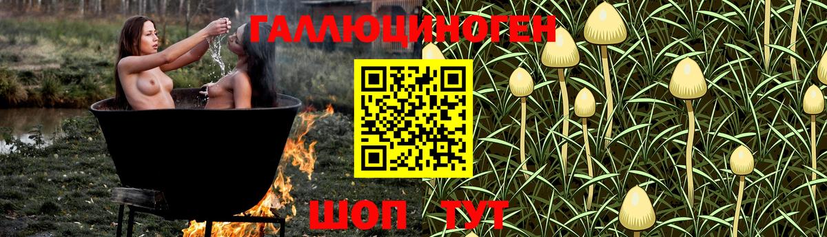 Галлюциногенные грибы Cubensis  Вход с VPN  Псилоцибиновые грибы прущие грибы  Каспийск 
